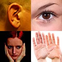 photo montage of an ear, an eye, a pair of open hands, and a women with her head in her hands